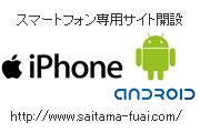 スマートフォン専用サイト